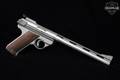 1984 AMT Baby Auto-Mag .22 LR Matte Stainless in Excellent Condition Image 2