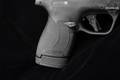 Smith & Wesson (S&W) M&P9 Shield Plus Performance Center 9mm Luger Armornite in Excellent Condition Image 4