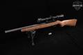 2025 Sturm Ruger 10/22 .22 LR Blued & Hardwood in Very Good Condition Image 2