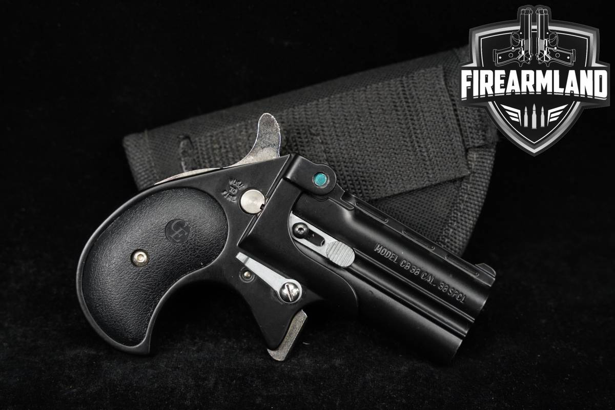 Cobra CB38 CB 38 Special 2.75" OVER/UNDER DERRINGER +Holster