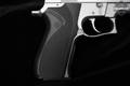 Smith & Wesson (S&W) 5906 9mm Luger Matte Stainless in Good Condition Image 3