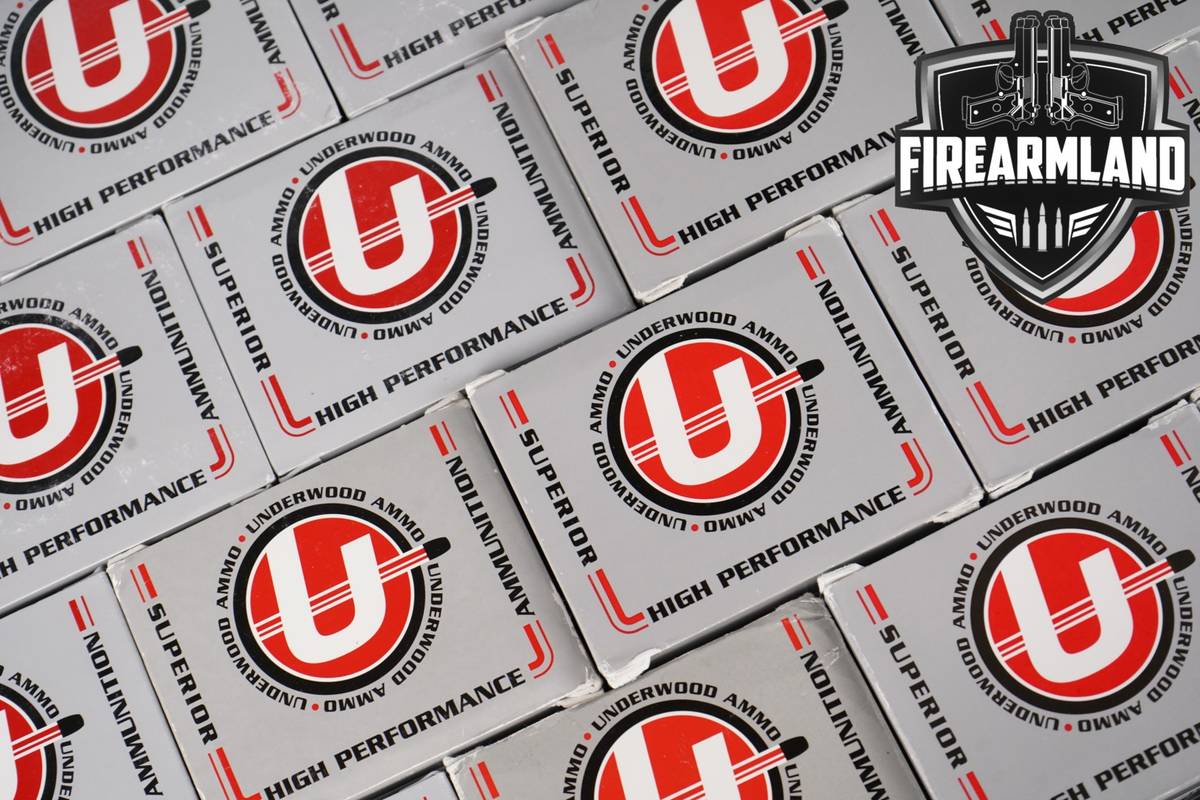 280 RDS! 44 Magnum Ammo Mag Ammunition
