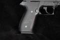 Sig Sauer Mosquito .22 LR Nitron in Very Good Condition Image 3