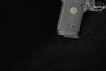 Sig Sauer P238 Legion .380 ACP Legion Gray in Excellent Condition Image 4