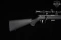 Savage Arms 93R17 .17 HMR Blued in Excellent Condition Image 4
