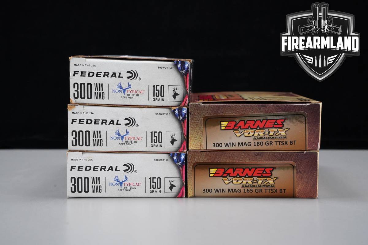 100 RDS! 300 Winchester Magnum Win Mag Ammo