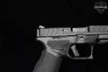 Springfield Armory Echelon Optic Ready 9mm Luger Black in Like-New Condition Image 4