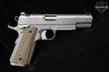 Dan Wesson Specialist 10mm Stainless Steel in Excellent Condition Image 3