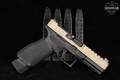 Springfield Armory Echelon 4.5F 9mm Luger Two-Tone FDE in Good Condition Image 2