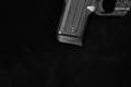 Sig Sauer P238 Two-Tone .380 ACP Two-Tone in Excellent Condition Image 4