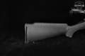 Thompson Center (TC, T/C, TCA) Omega .50 BPM (Black Powder) Stainless Steel in Very Good Condition Image 4