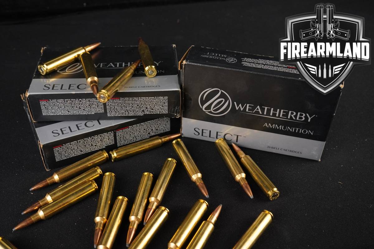 60 RDS! 6.5 WBY RPM Ammo Ammunition