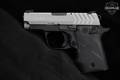Springfield Armory 911 .380 ACP Two-Tone Stainless in Excellent Condition Image 3