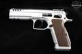 2022 Tanfoglio Defiant Stock Master .38 Super Silver in Excellent Condition Image 5