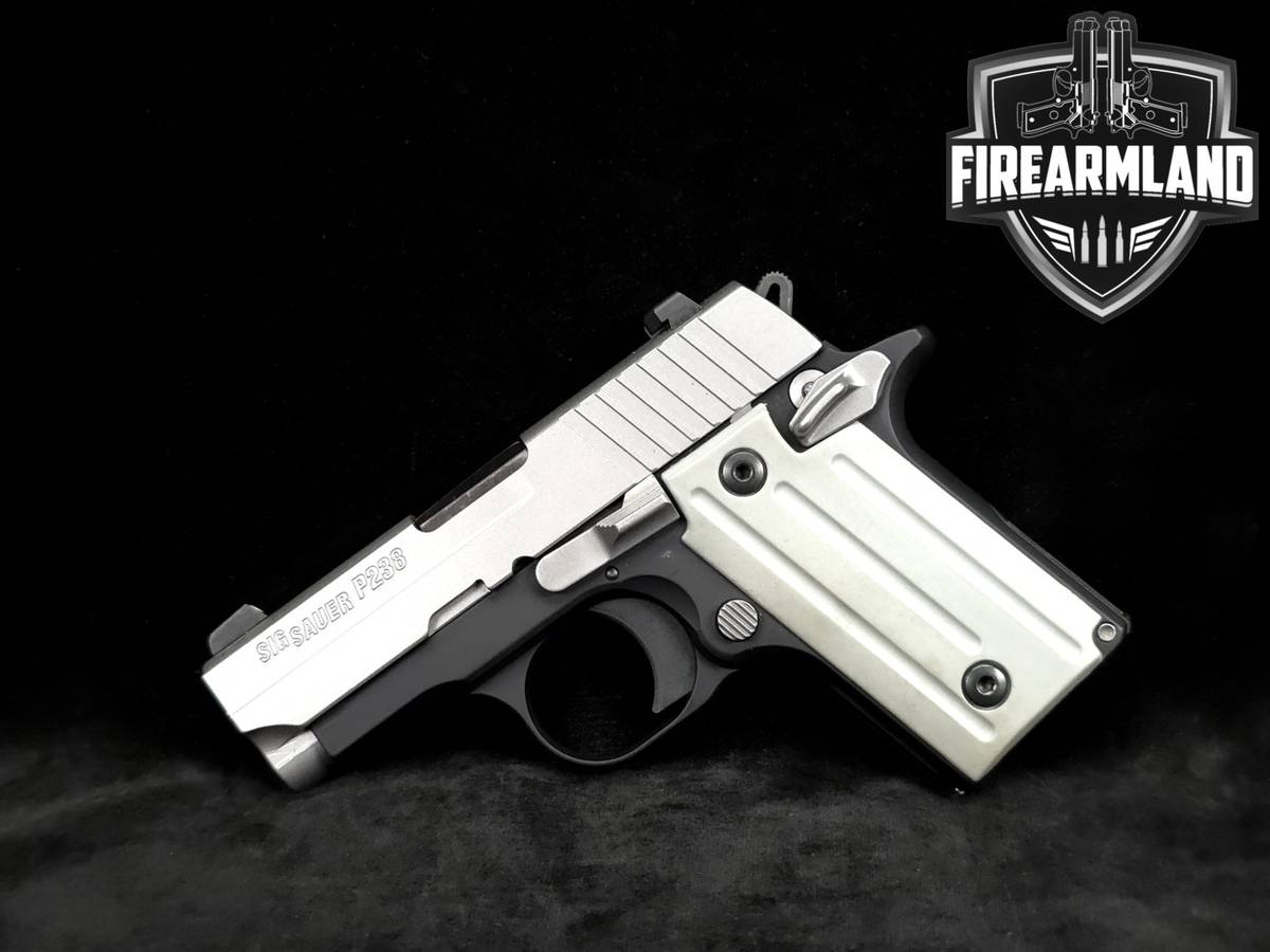 Sig Sauer P238 Two-Tone 380-ACP 1911 2.7" +2 MAGS, ORIG CASE & HOLSTER