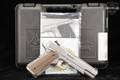 Dan Wesson Specialist .45 ACP Stainless in Excellent Condition Image 2