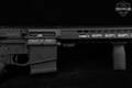 Palmetto State Armory (PSA) PA-10 7.62mm NATO (7.62x51) Stainless & Synthetic in Very Good Condition Image 4