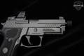 Sig Sauer P229 Legion Compact 9mm Luger Legion Gray in Excellent Condition Image 5