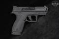 Smith & Wesson (S&W) M&P Shield X Thumb Safety (TS) 9mm Luger Black in Very Good Condition Image 4