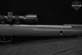 Gamo Varmint .177 Caliber (4.5mm) Black in Very Good Condition Image 5