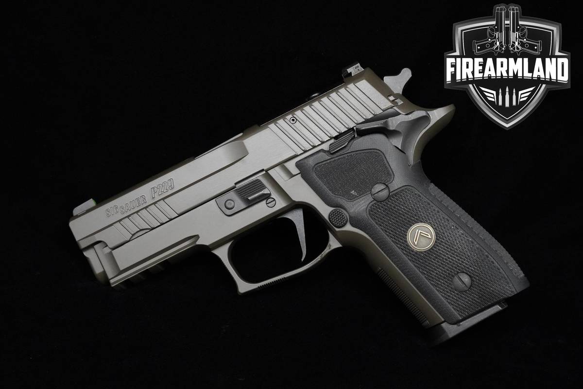 Sig Sauer P229 Legion SAO 9mm Legion Gray Sig-Sauer P229 P-229-R ORIG CASE