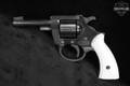 Arms Co Model 059 .22 LR Black in Poor Condition Image 2