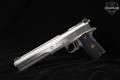 Irwindale Arms Incorporated (IAI) Javelina Hunting Model Longslide 10mm Stainless in Good Condition Image 2