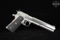 Irwindale Arms Incorporated (IAI) Javelina Hunting Model Longslide 10mm Stainless in Good Condition Image 3