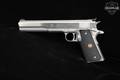 Irwindale Arms Incorporated (IAI) Javelina Hunting Model Longslide 10mm Stainless in Good Condition Image 4