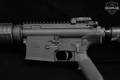 Armalite AR-10B .308 Win. Black in Excellent Condition Image 5