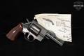 Arminus Titan Tiger .38 Spl. Blued in Fair Condition Image 2