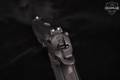 Israel Weapon Industries (IWI) Jericho 941 RS9 9mm Luger Black in Excellent Condition Image 5