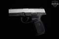 Smith & Wesson (S&W) SW9VE Sigma 9mm Luger (9x19 Para) Two-Tone in Very Good Condition Image 3