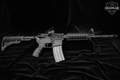 Bushmaster XM15-E2S 5.56mm NATO Anodized in Fair Condition Image 2