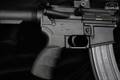 Bushmaster XM15-E2S 5.56mm NATO Anodized in Fair Condition Image 4