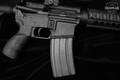 Bushmaster XM15-E2S 5.56mm NATO Anodized in Fair Condition Image 5
