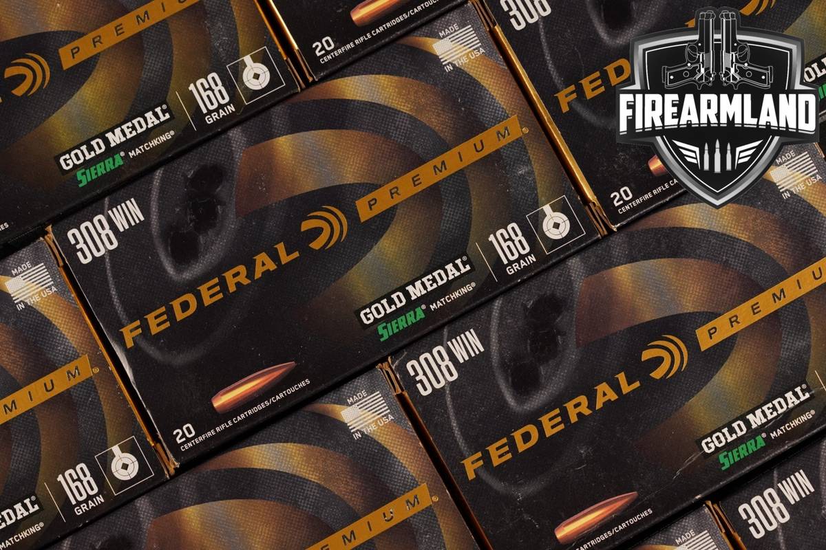 200 RDS! 308 Winchester Ammo Ammunition