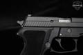 Sig Sauer P229 Stainless .40 S&W Nitron in Excellent Condition Image 4