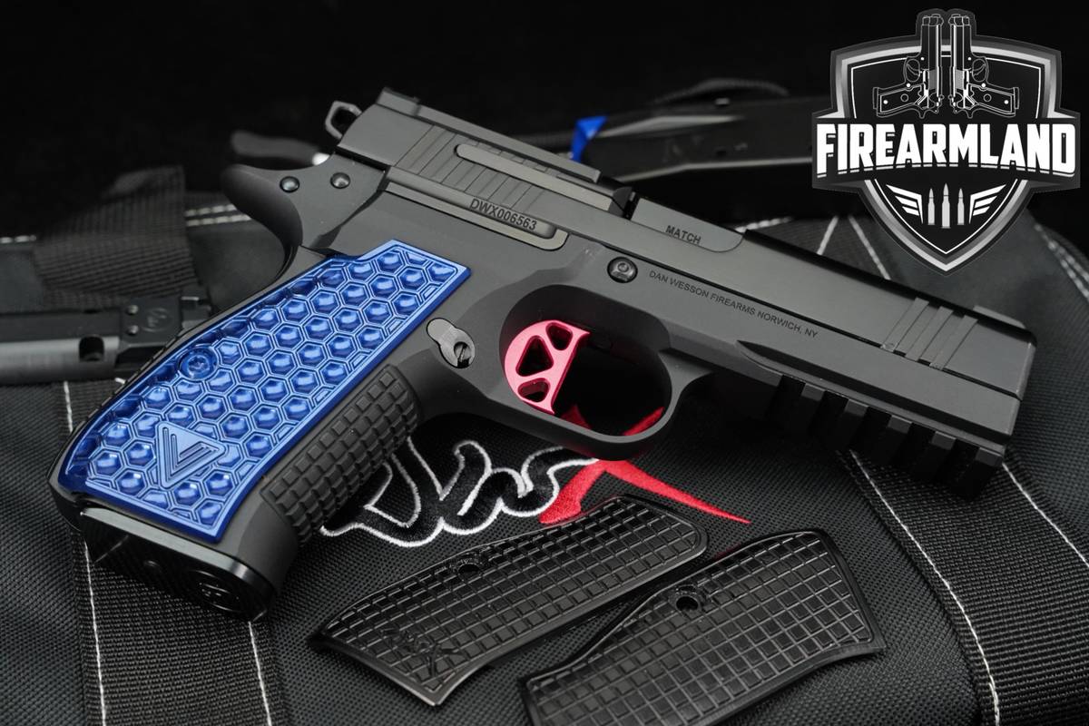 Dan Wesson DWX Compact Optics-Ready 9mm Duty Finish +2 MAGS & OG CASE