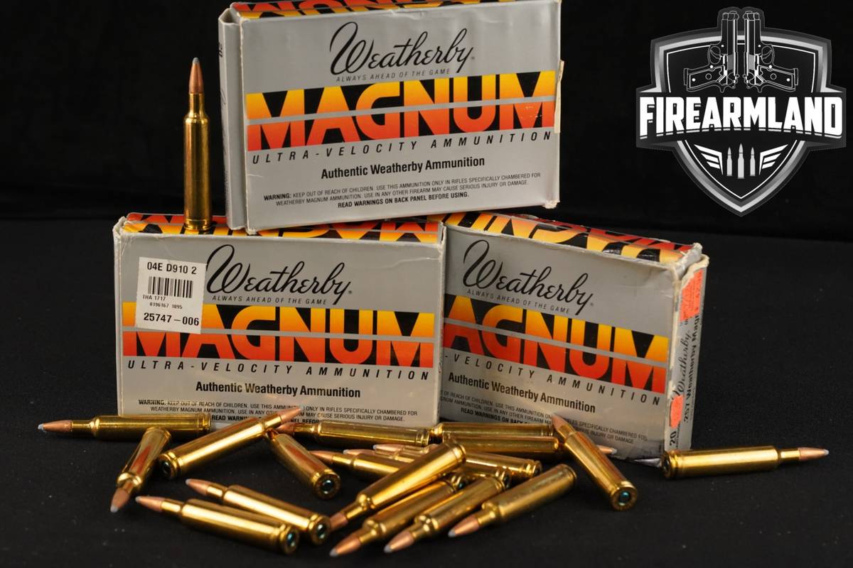 60 RDS! 257 Wby Magnum Ammo Weatherby-Mag Ammunition