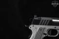 Springfield Armory 1911 Emissary .45 ACP Blued/Stainless in Very Good Condition Image 5