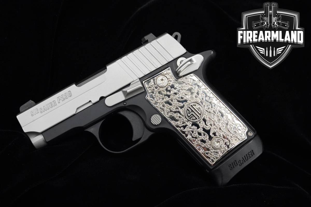 Sig Sauer P238 Two Tone 380 ACP 2.7" Stainless Steel Sig-Sauer P238 HOLSTER