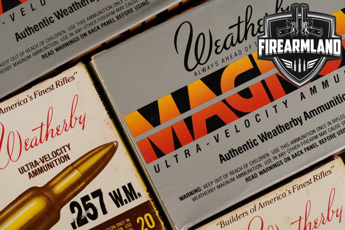 80 RDS! 257 Wby Magnum Ammo Weatherby-Mag Ammunition