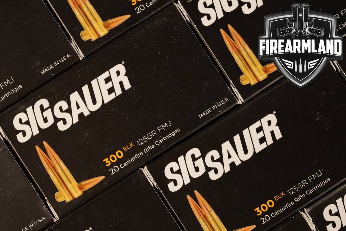 500 RDS! 300 Blackout Ammo BLK-AAC Ammunition