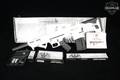 Panzer Arms BP-12 Gen2 12 Gauge Alpine White in Excellent Condition Image 2