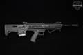 Barathrum Arms Silver eagle EVO-BT 12 Gauge Black in Very Good Condition Image 3