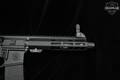 Smith & Wesson (S&W) M&P-15 5.56mm NATO Armornite in Excellent Condition Image 3
