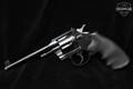1935 Colt Officers Model Target .22 LR Blued in Very Good Condition Image 2