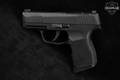 Sig Sauer P365-380 BSS .380 ACP Black in Excellent Condition Image 3