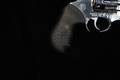 Rossi Model 462 .357 Mag. Polished Stainless in Very Good Condition Image 3